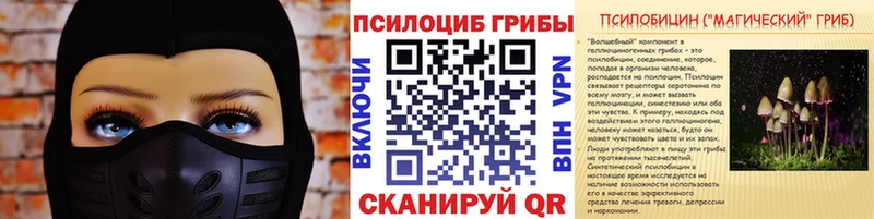Галлюциногенные грибы мицелий  где продают   Кировск 