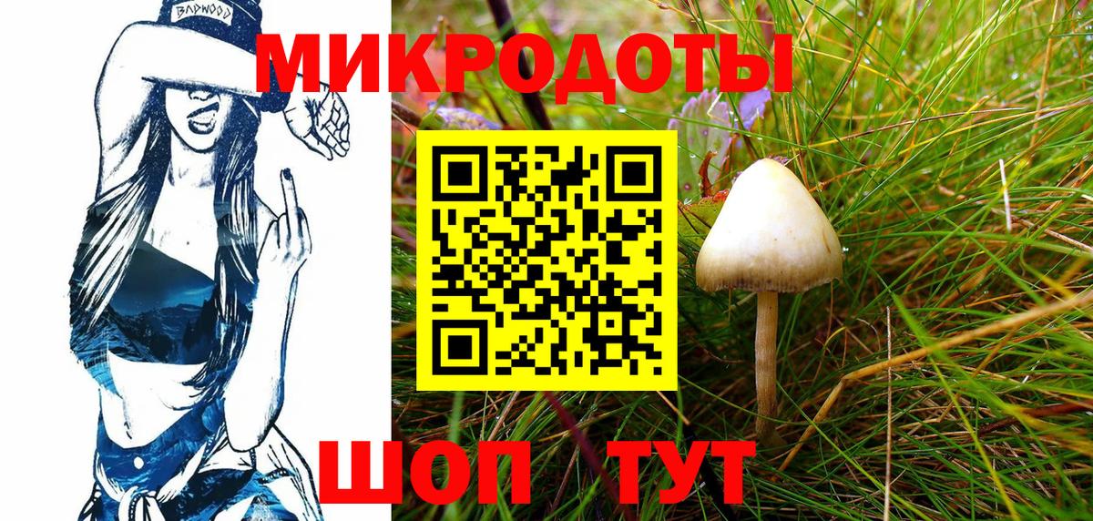 Кировск  Галлюциногенные грибы Psilocybe  Вход с VPN 